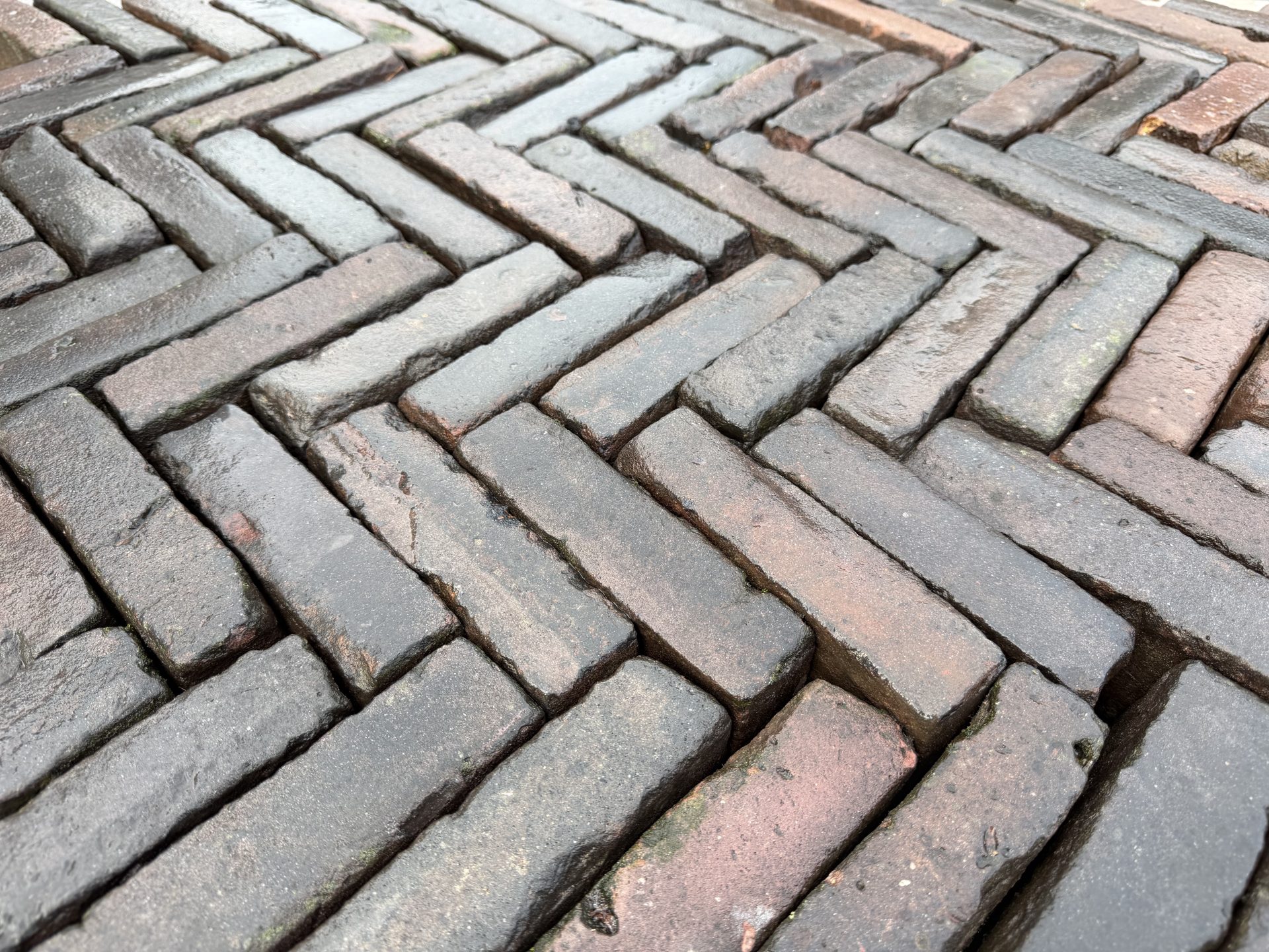 Oud gebakken rijnformaat rood/paars (RF01)
