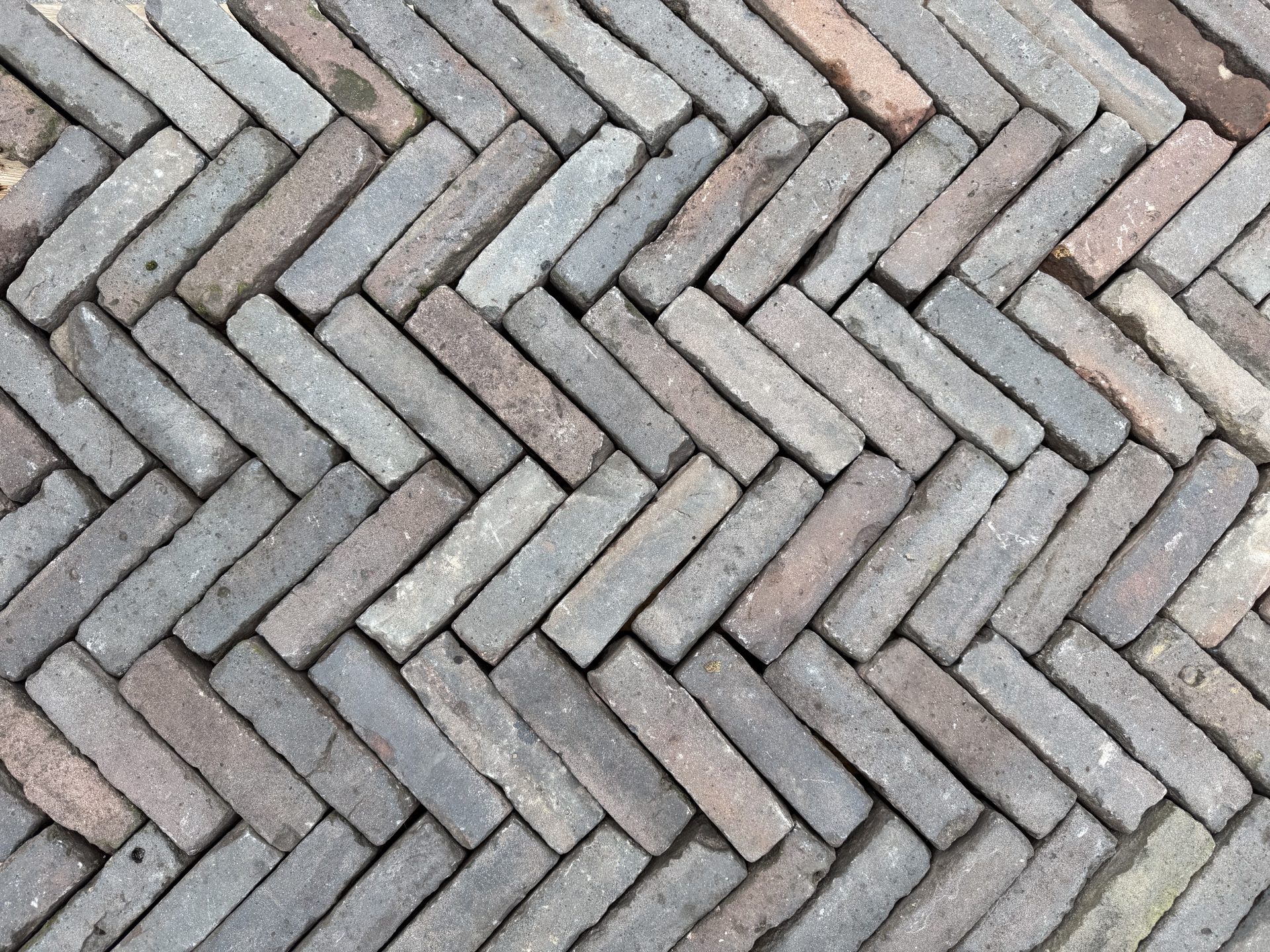Oud gebakken rijnformaat rood/paars (RF01)